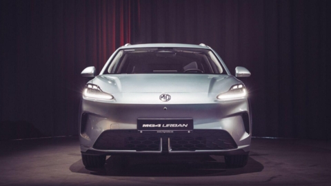 image site NEDEY.jpg