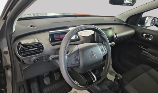 215872557_hd.jpg