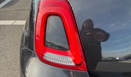 agency.20822.vehicle.442954871374_207232659_hd