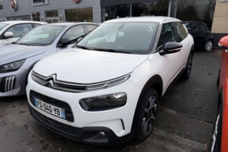 Illustration Citroën C4 Cactus