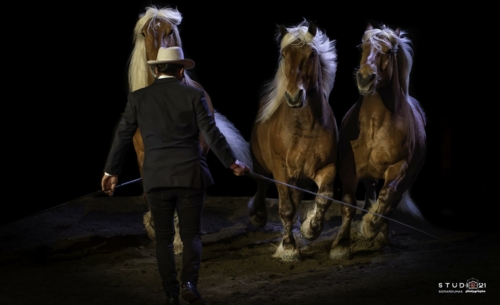 DS Store Montbéliard vous présente le spectacle Equi'Axone