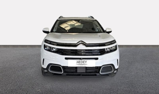213638078_hd.jpg
