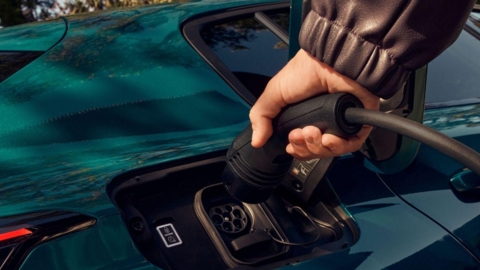 image site NEDEY.jpg