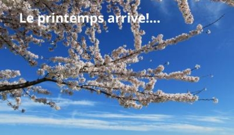 Le_printemps_arrive.jpg