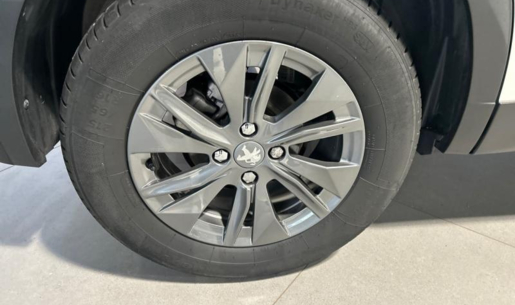 agency.20825.vehicle.442473480885_203057852_hd