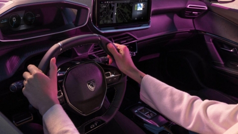 image site NEDEY.jpg