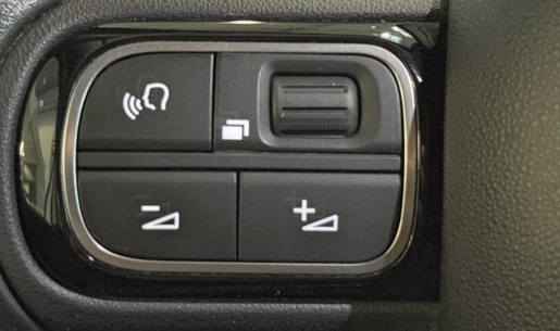 agency.20817.vehicle.442866941370_203717824_hd