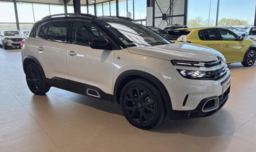 agency.20822.vehicle.442305191374_208197462_hd