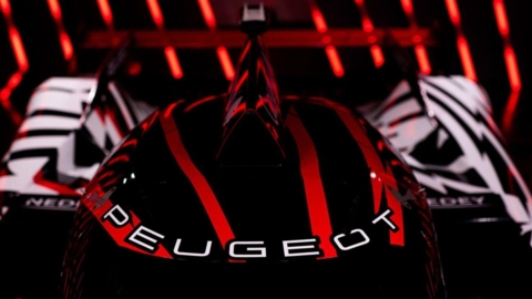 image site NEDEY.jpg