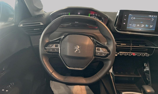 217658826_hd.jpg