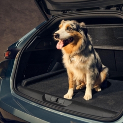 visuels site NEDEY (2).jpg